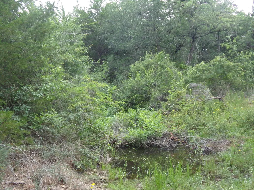 1588 Deer Hollow Road Weimar, TX 78962
