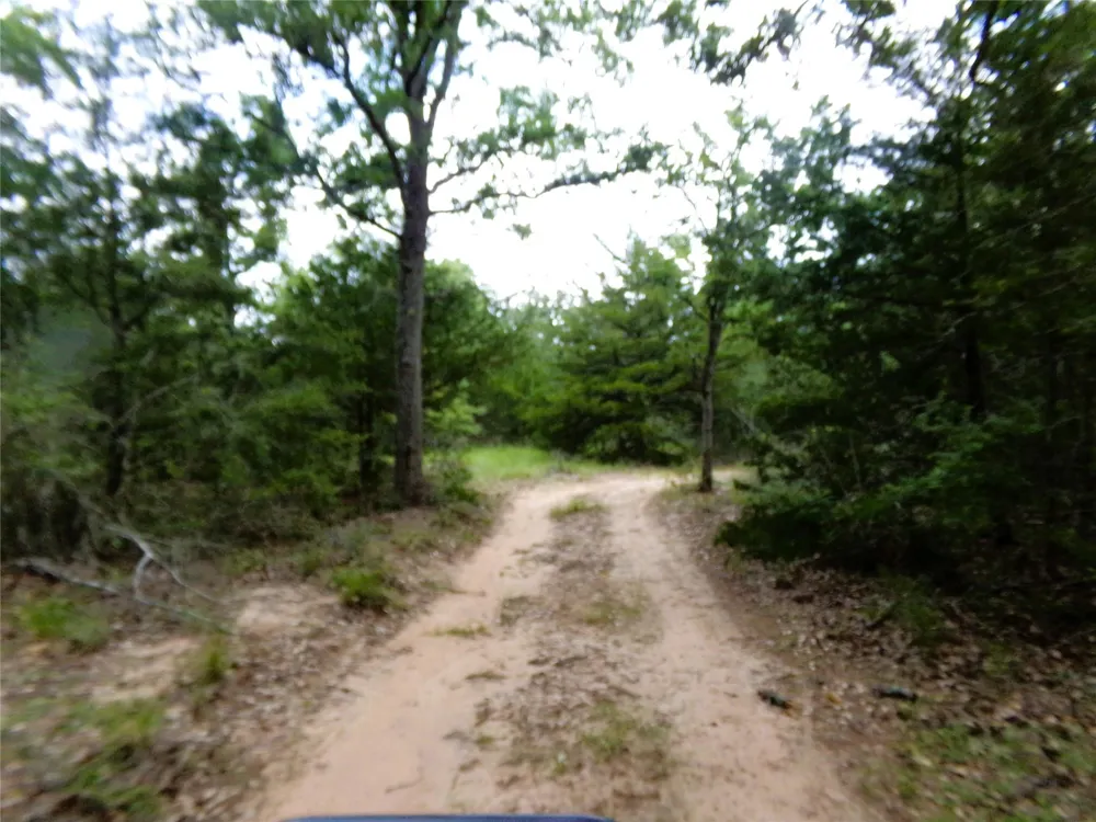 1588 Deer Hollow Road Weimar, TX 78962