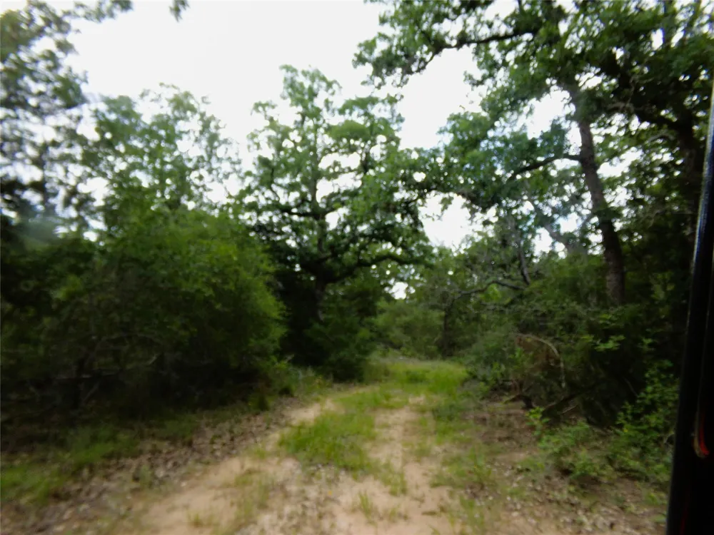 1588 Deer Hollow Road Weimar, TX 78962