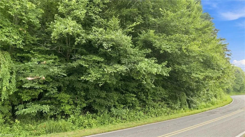 TBD Russell Gap Road Moravian Falls, NC 28654