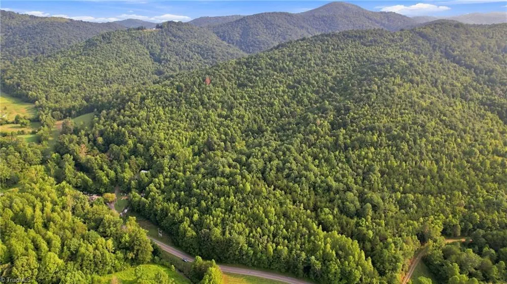 TBD Russell Gap Road Moravian Falls, NC 28654