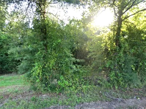 County Rd 224