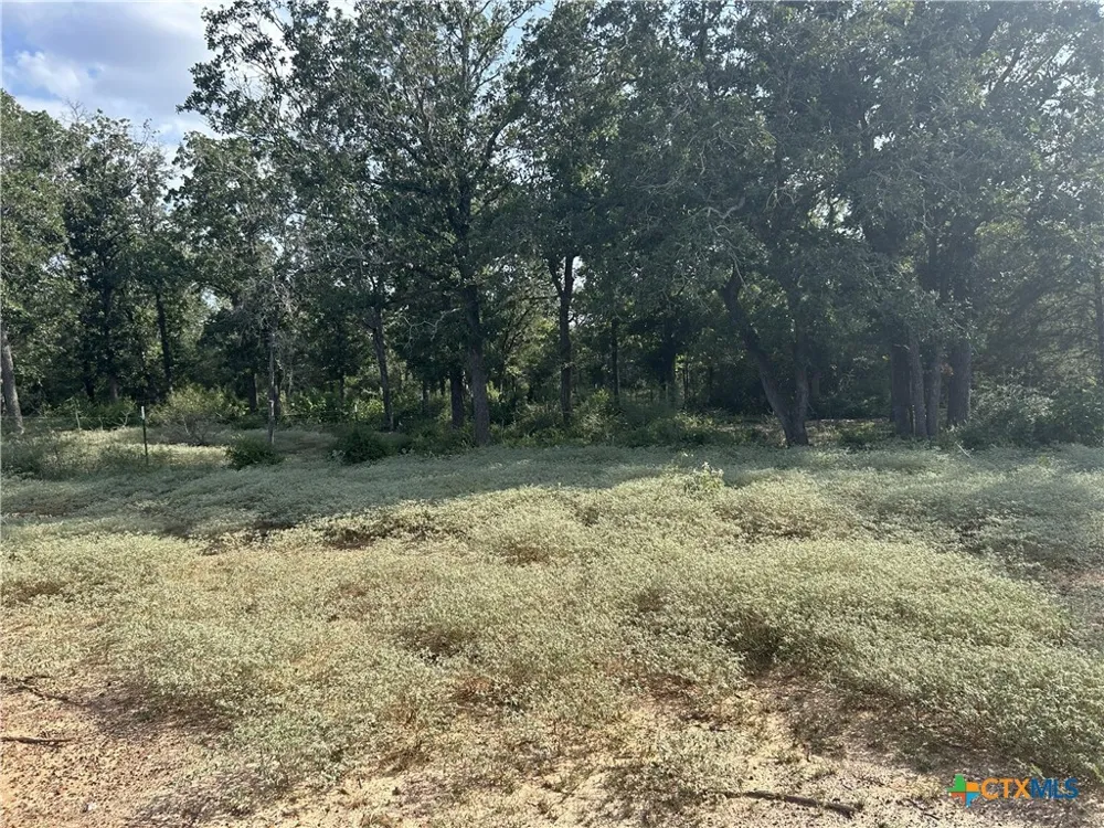 240 Private Road 4601 Road Waelder, TX 78959