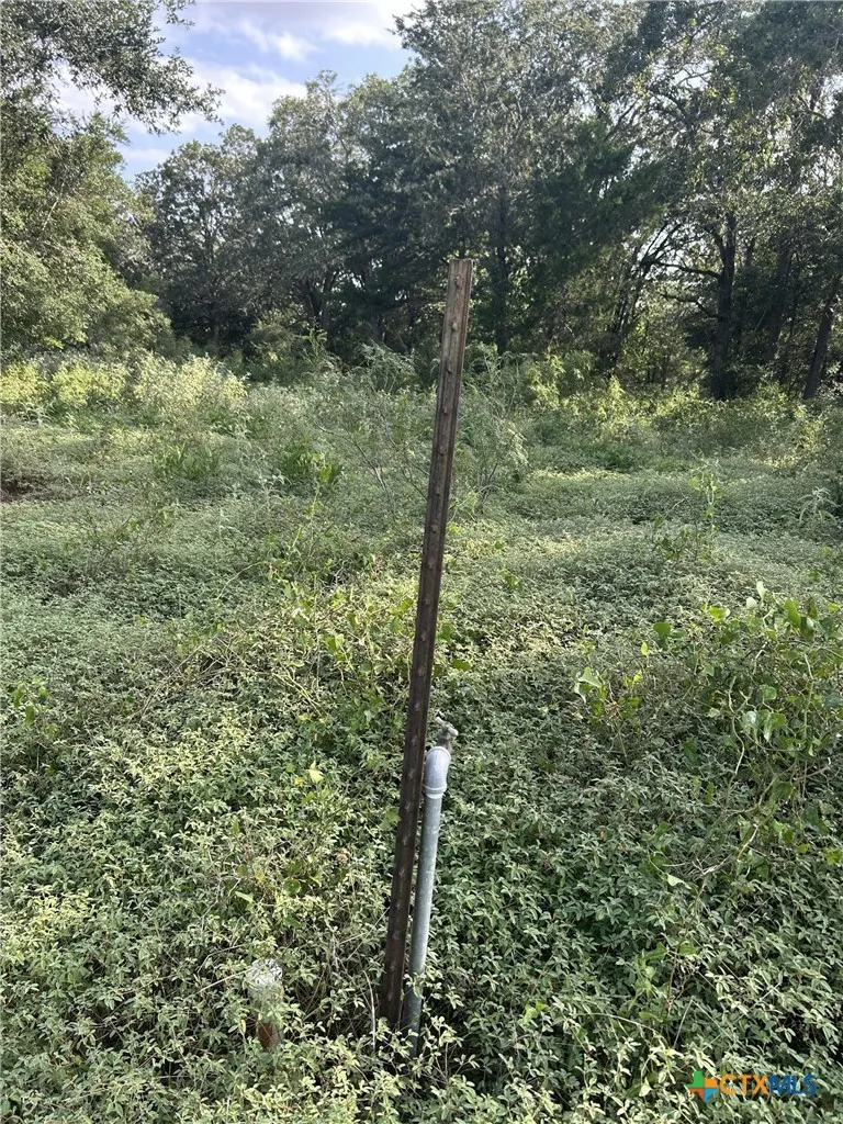 240 Private Road 4601 Road Waelder, TX 78959