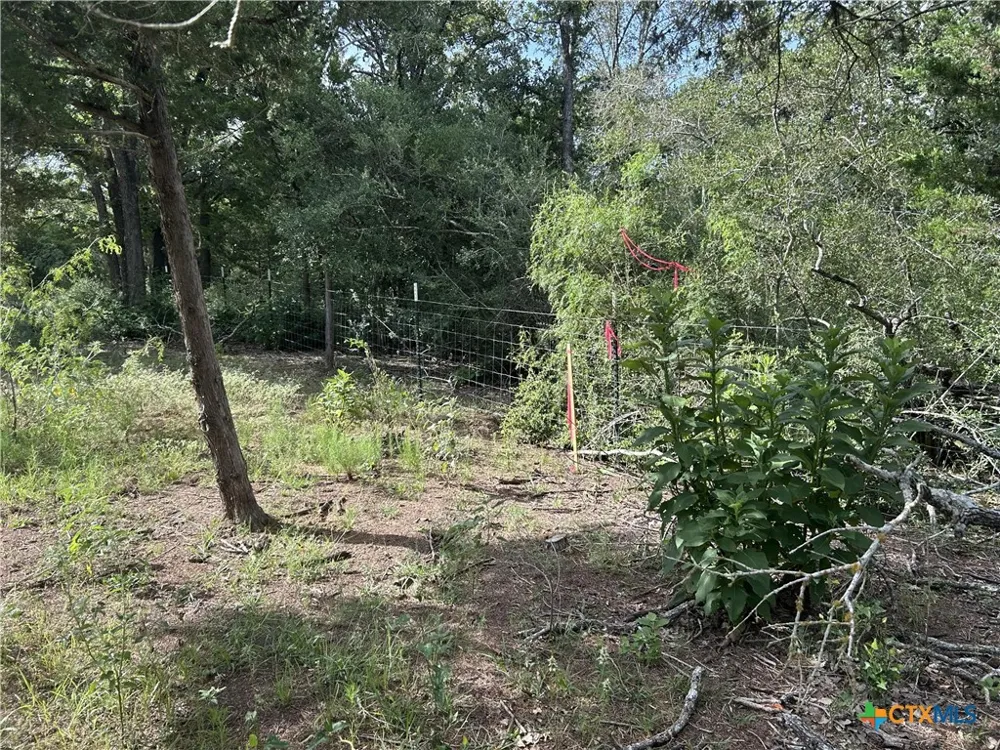 240 Private Road 4601 Road Waelder, TX 78959