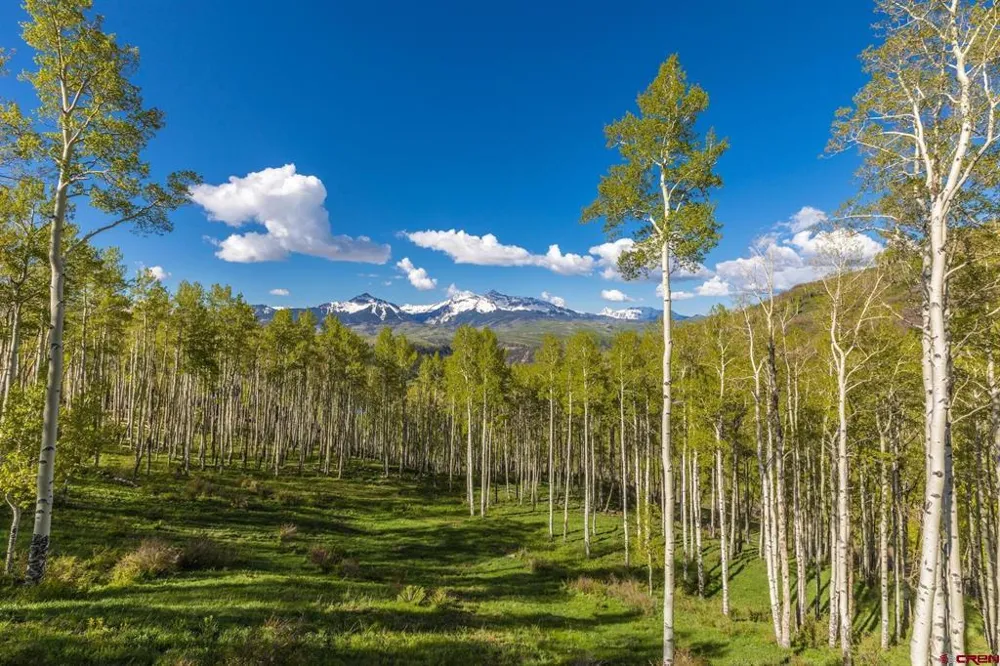107 Joaquin Road Telluride, CO 81435
