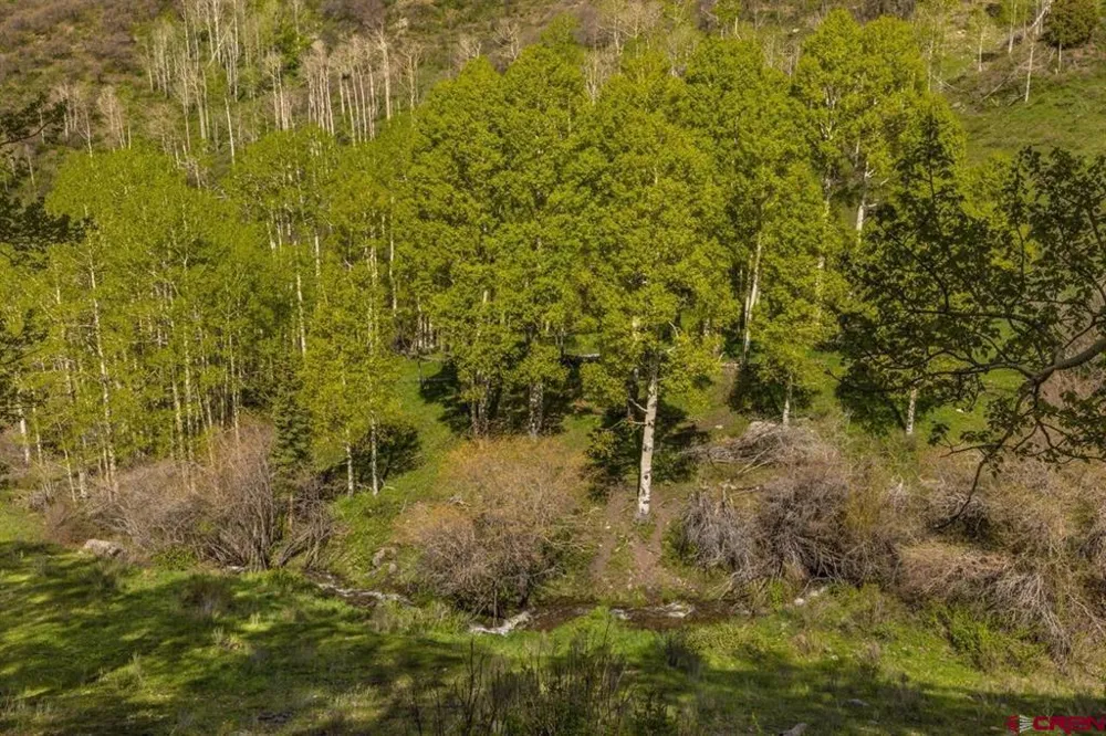 107 Joaquin Road Telluride, CO 81435