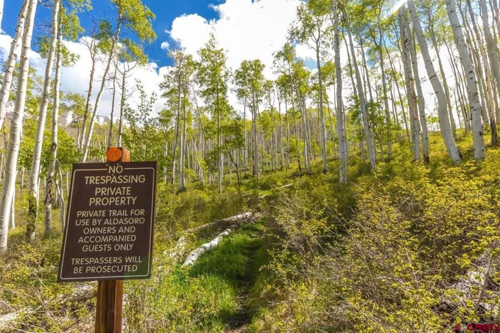 107 Joaquin Road Telluride, CO 81435