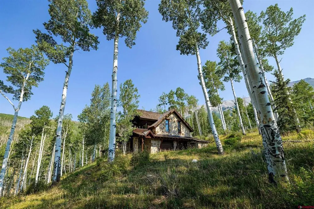 107 Joaquin Road Telluride, CO 81435