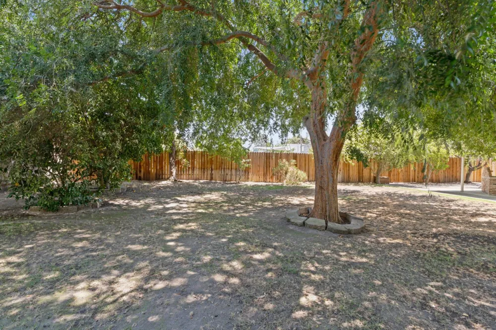 2212 Goldridge Street Selma, CA 93662