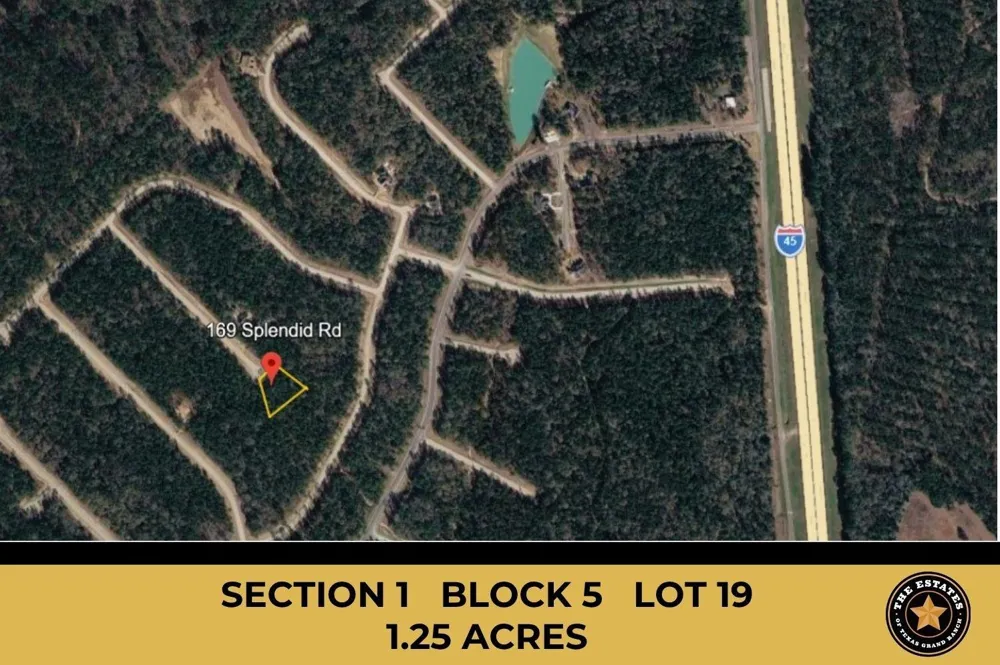169 Splendid Road New Waverly, TX 77358