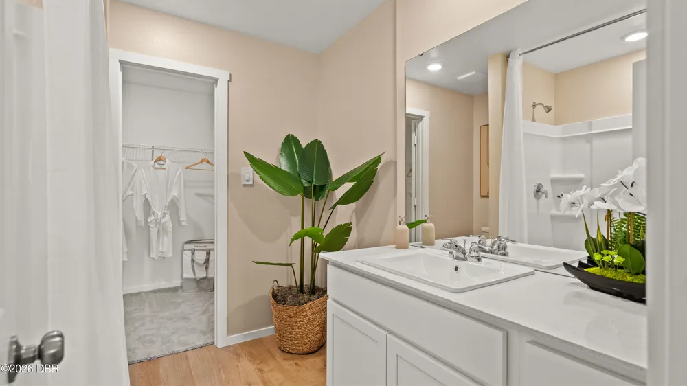 6101 Swamp Bay Drive Edgewater, FL 32141