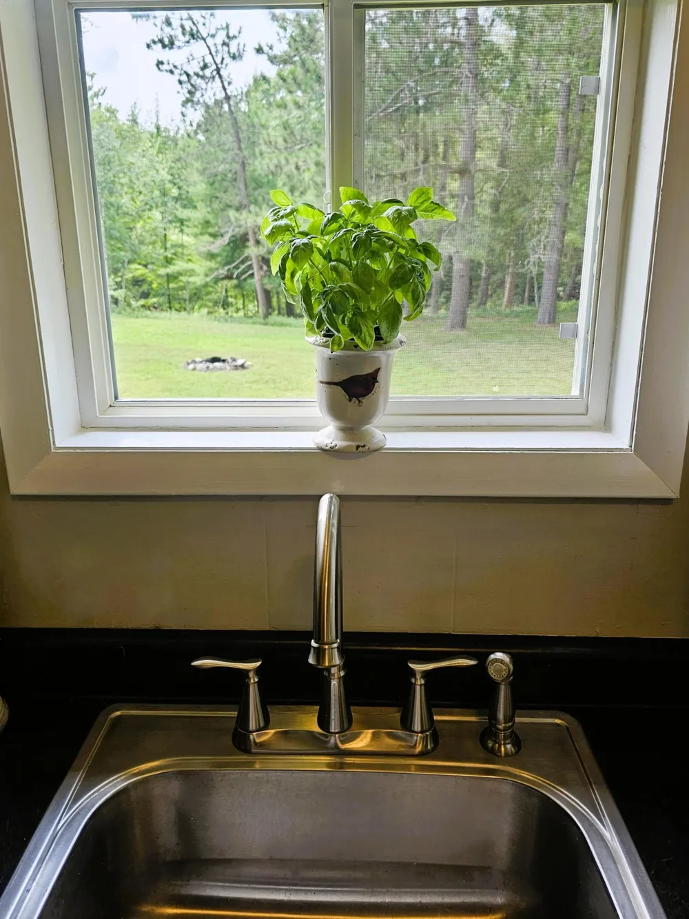 4822 Setting Sun Trail Way Danbury, WI 54830