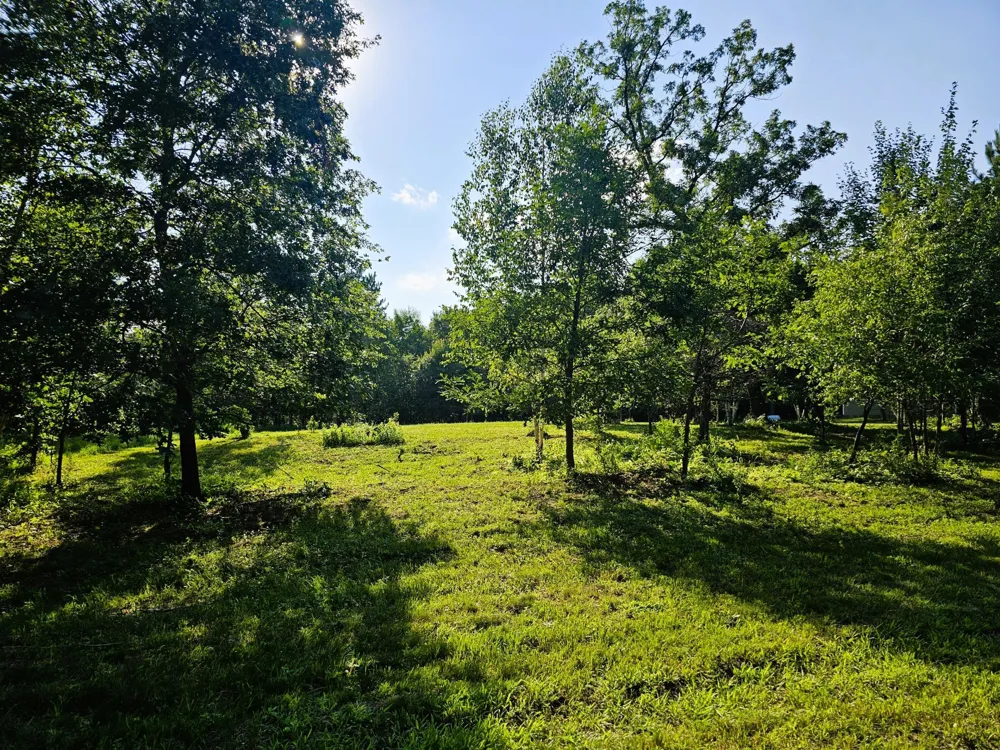 4822 Setting Sun Trail Way Danbury, WI 54830