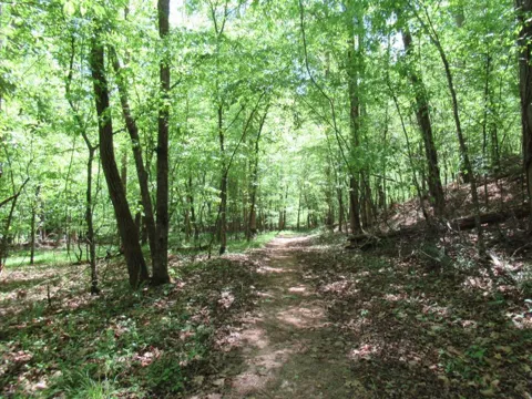 0 Chestatee Drive