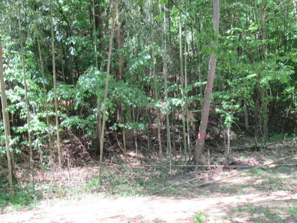 0 Chestatee Drive Dahlonega, GA 30533