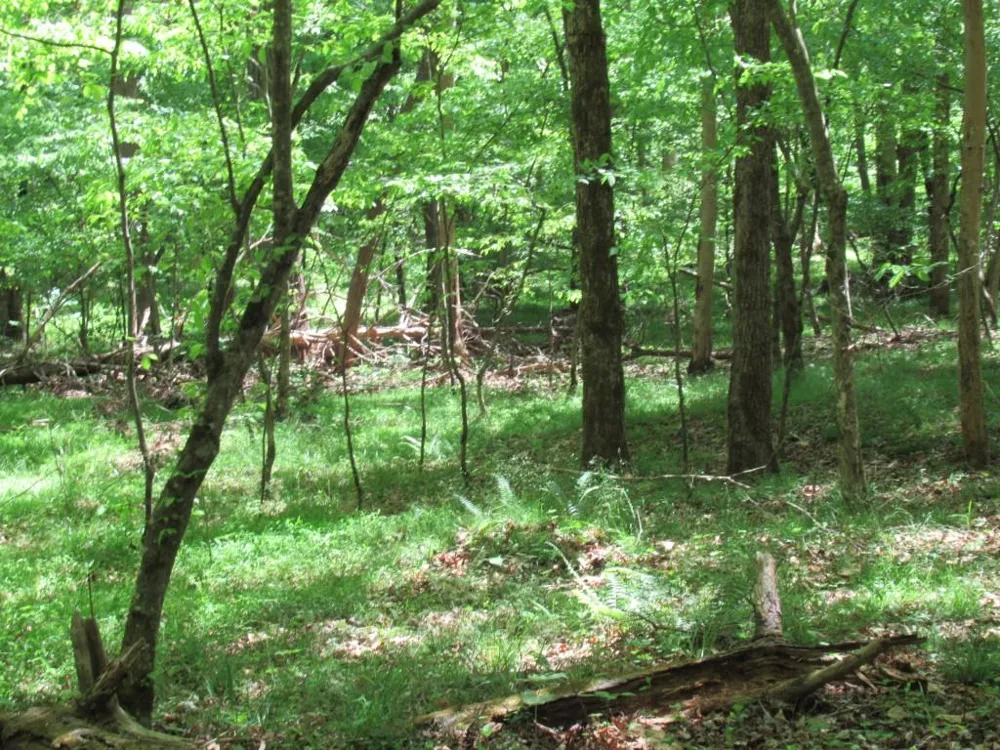 0 Chestatee Drive Dahlonega, GA 30533