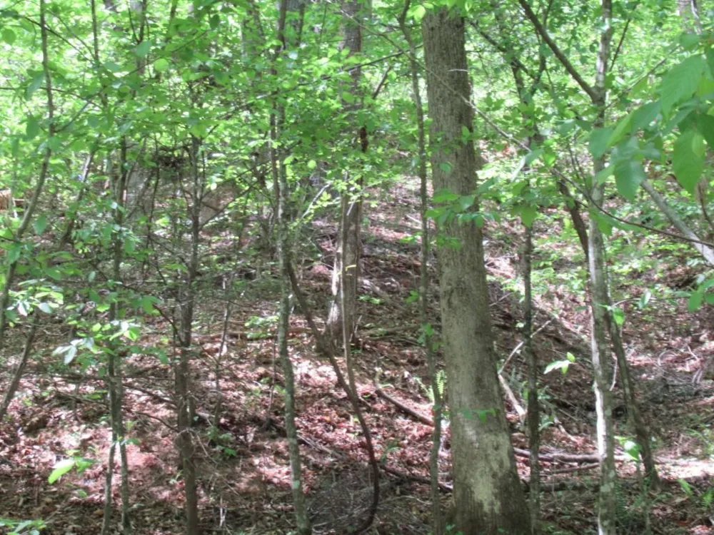 0 Chestatee Drive Dahlonega, GA 30533