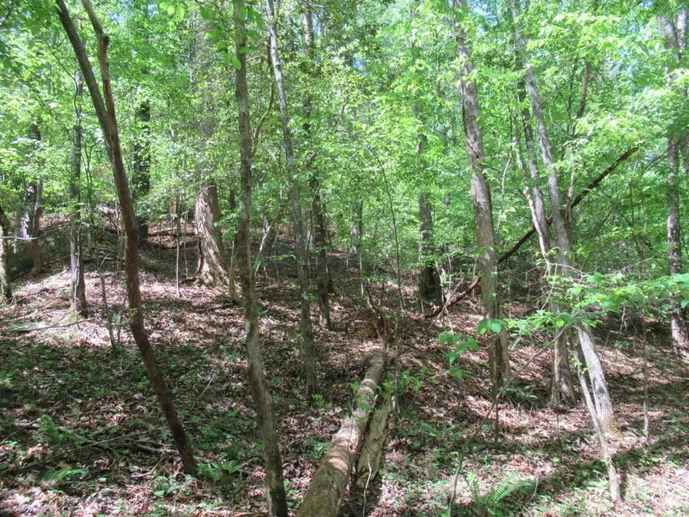 0 Chestatee Drive Dahlonega, GA 30533