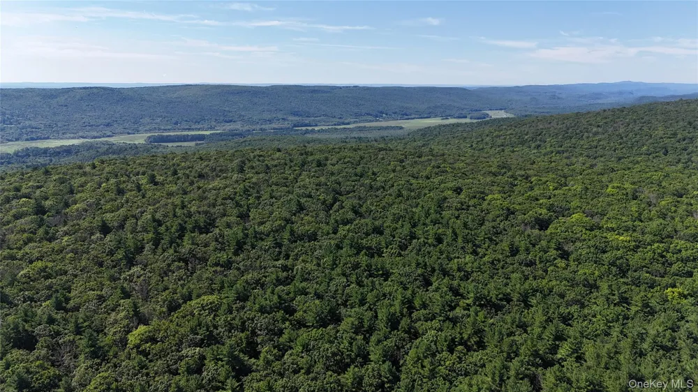State Route 209 Wurtsboro, NY 12790