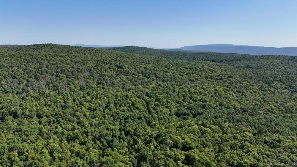 State Route 209 Wurtsboro, NY 12790