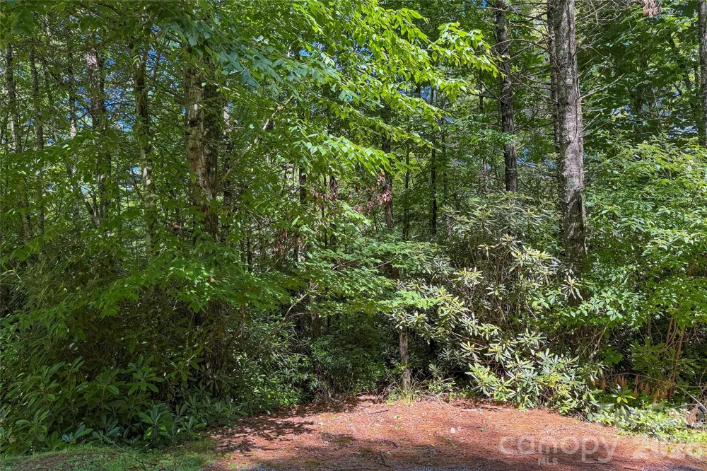 G24 Bailey Lane #G24 Sapphire, NC 28774