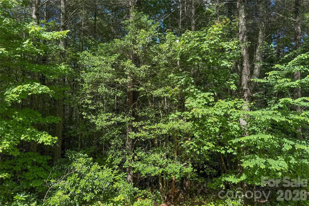 G25 Bailey Lane #G25 Sapphire, NC 28774