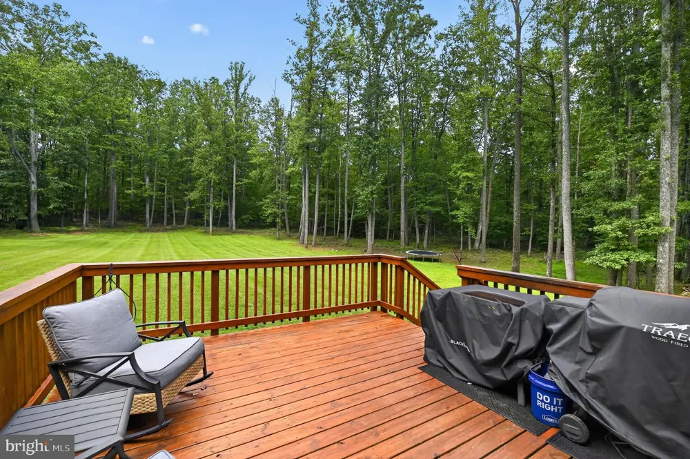 4055 NOVUM ROAD Reva, VA 22735