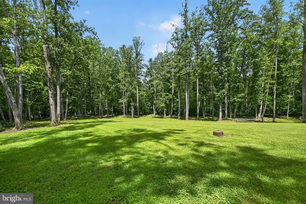 4055 NOVUM ROAD Reva, VA 22735