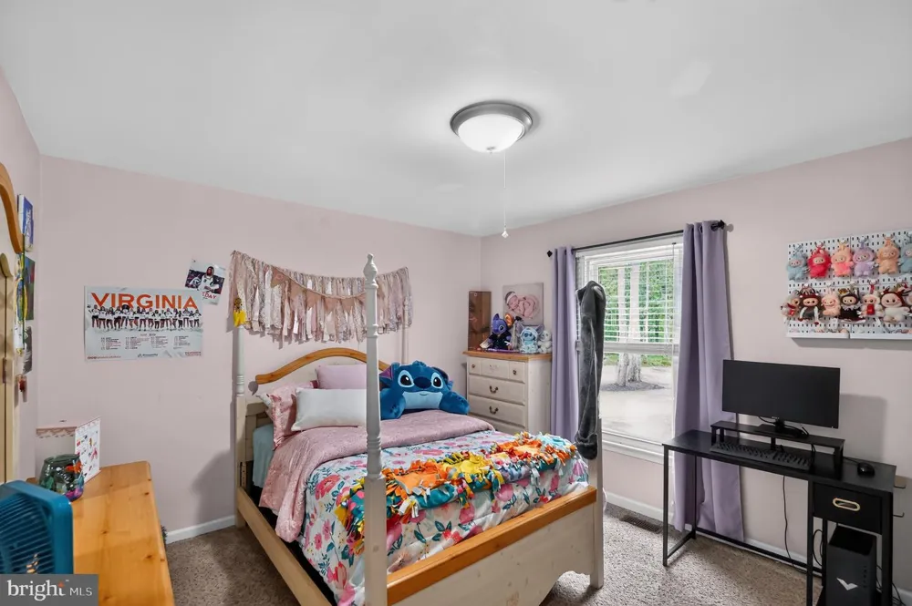 4055 NOVUM ROAD Reva, VA 22735