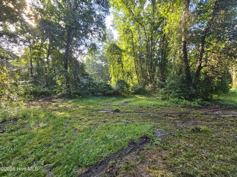 Lot 83 E Waterway Drive Belhaven, NC 27810