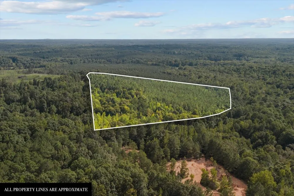 0 Eden Farm Rd Camden, TN 38320