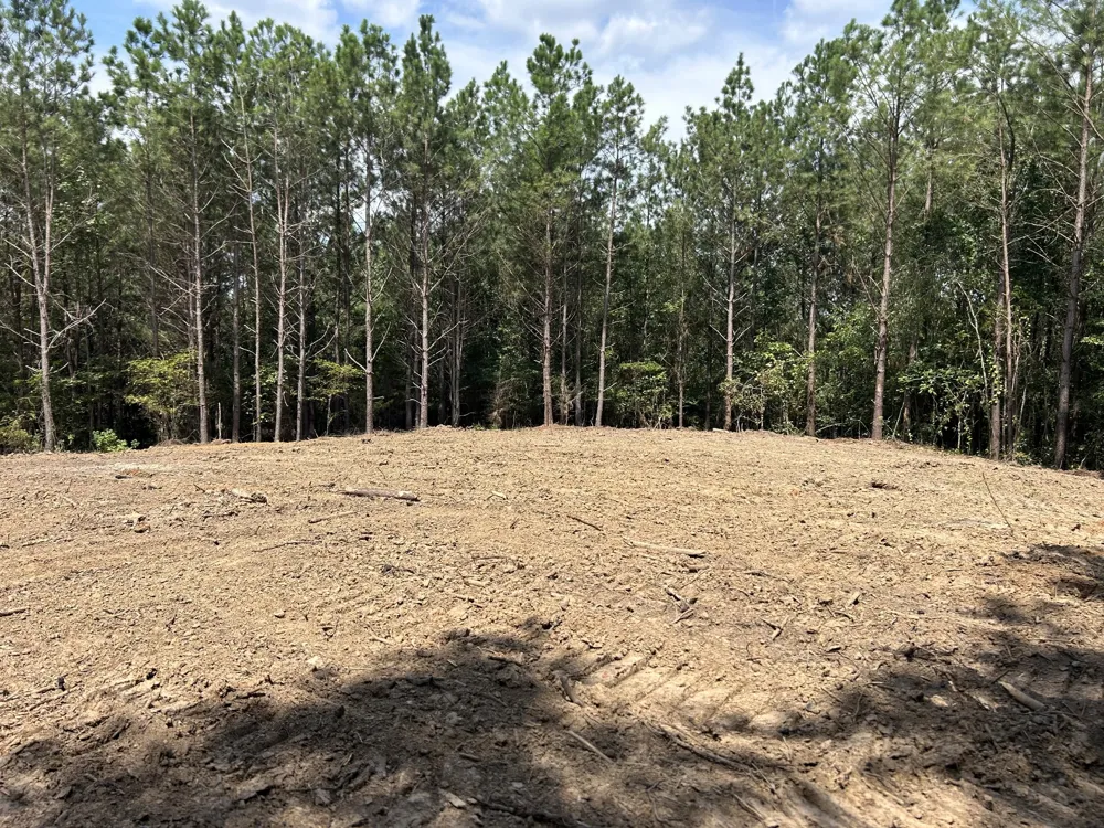 0 Eden Farm Rd Camden, TN 38320