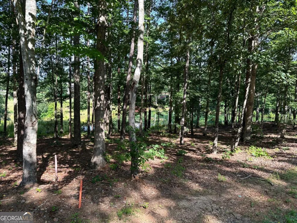1117 Rome Beauty Clarkesville, GA 30523