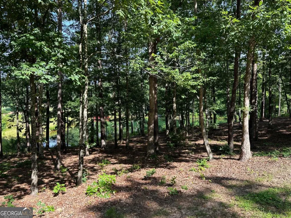 1117 Rome Beauty Clarkesville, GA 30523