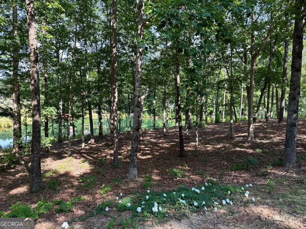 1117 Rome Beauty Clarkesville, GA 30523