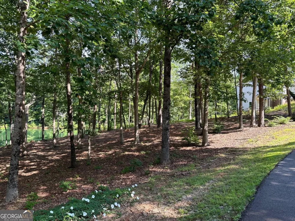 1117 Rome Beauty Clarkesville, GA 30523