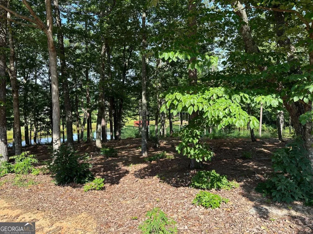 1117 Rome Beauty Clarkesville, GA 30523