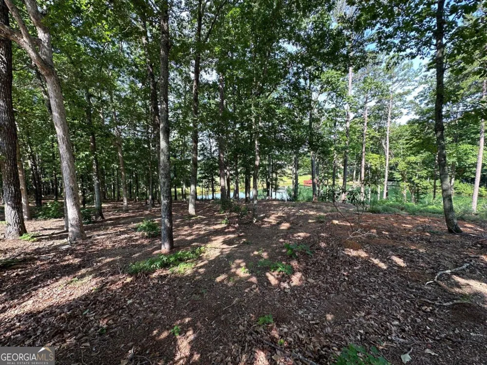 1117 Rome Beauty Clarkesville, GA 30523