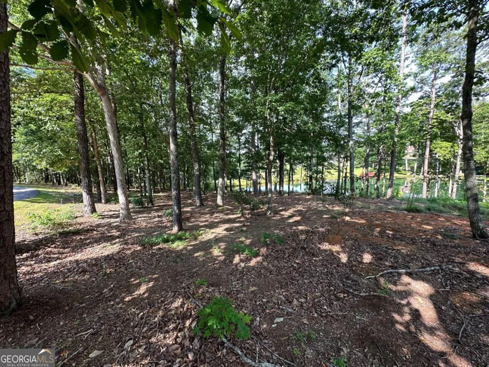 1117 Rome Beauty Clarkesville, GA 30523