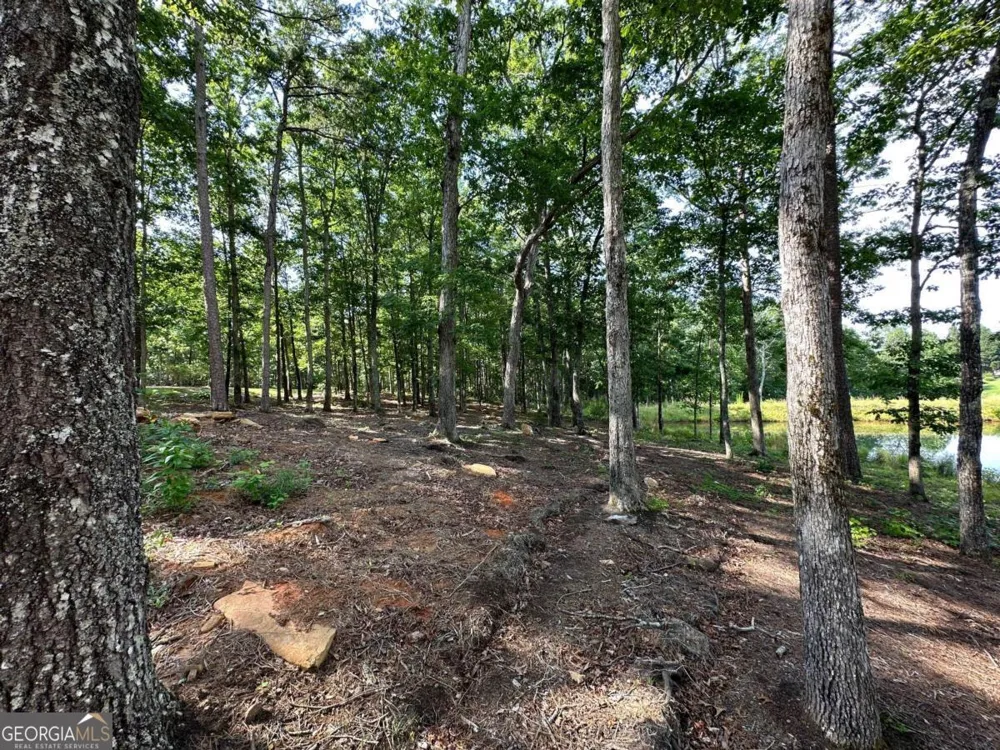 1117 Rome Beauty Clarkesville, GA 30523