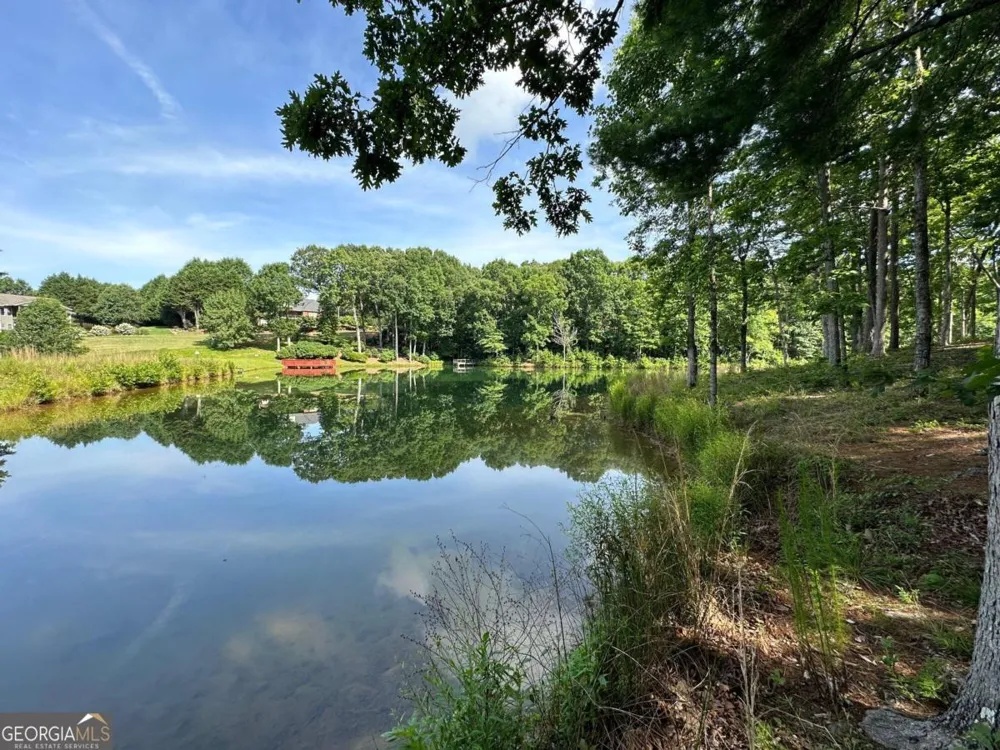 1117 Rome Beauty Clarkesville, GA 30523