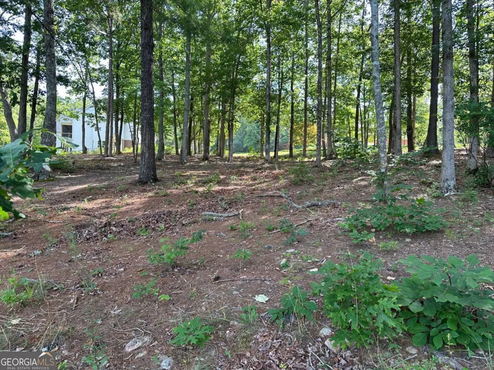 1117 Rome Beauty Clarkesville, GA 30523