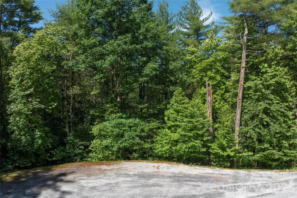 G26 Bailey Lane #G26 Sapphire, NC 28774