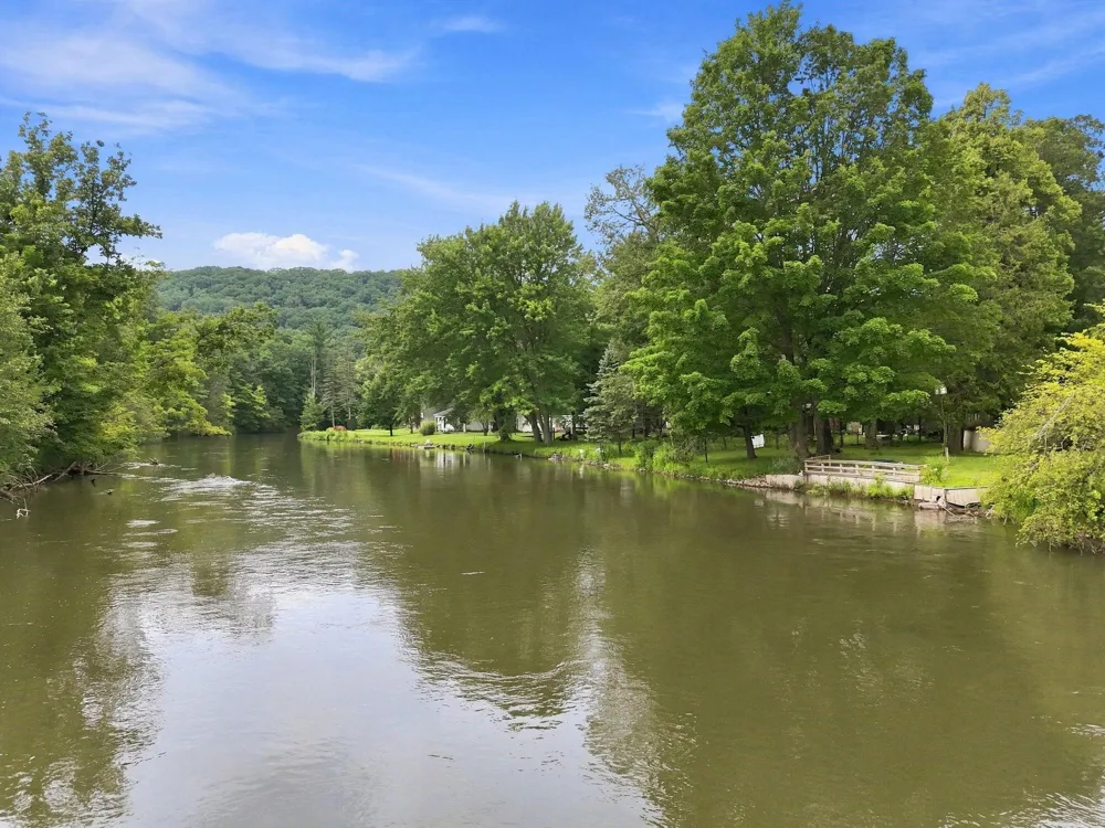 10065 River Road Greenwood Township, MI 49663