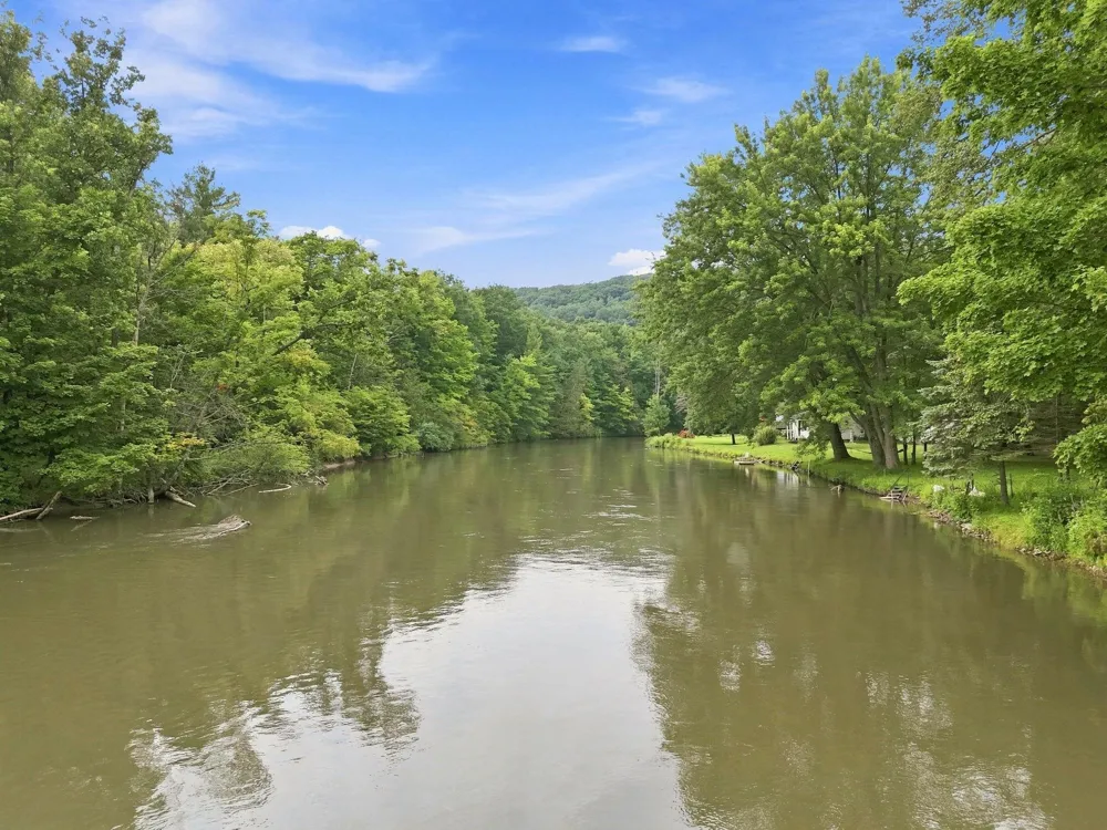 10065 River Road Greenwood Township, MI 49663