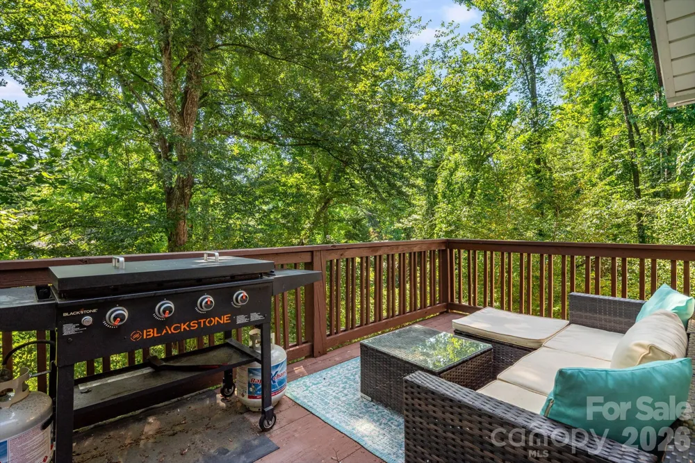 28 Greenbriar Road Black Mountain, NC 28711