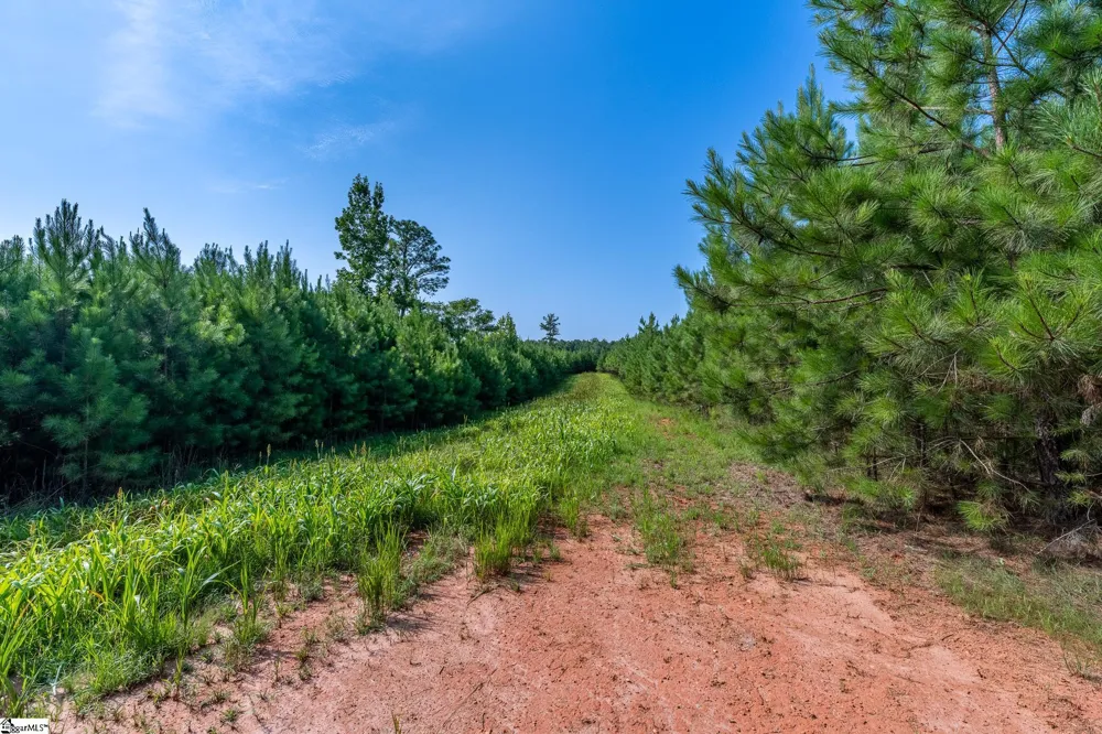 0 Blacks Mill Road Iva, SC 29655