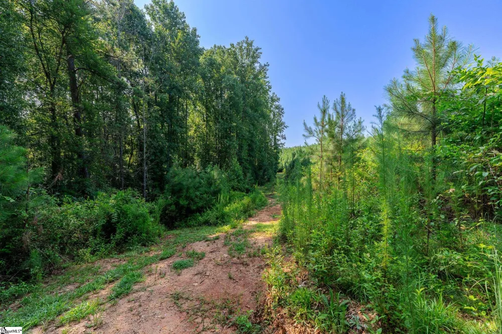 0 Blacks Mill Road Iva, SC 29655