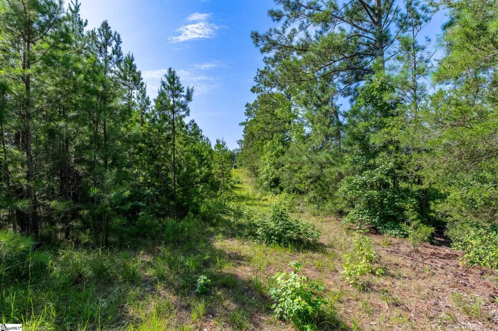 0 Blacks Mill Road Iva, SC 29655